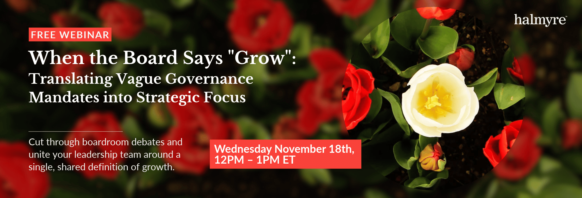 November_2026_Webinar_Banner